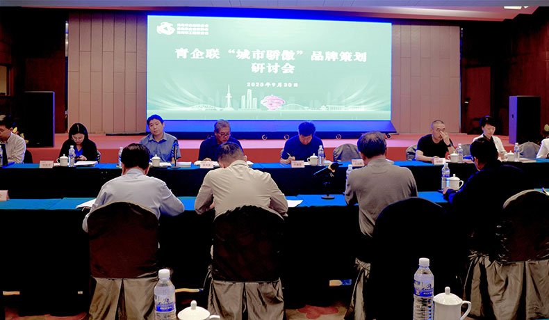 “城市骄傲”品牌策划研讨会举行